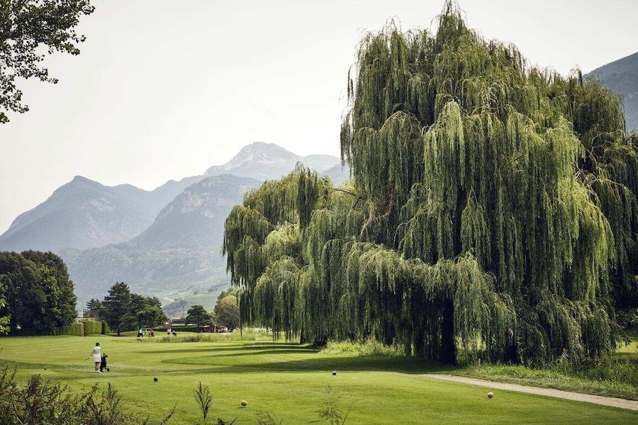 GOLF Jaguar im Wallis