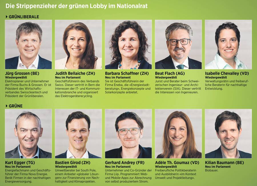 Die Grünen nach den Wahlen im Nationalrat