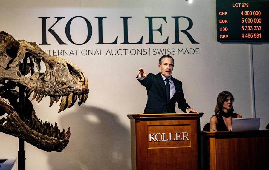 <p>Auktionen: Beim Schweizer Auktionshaus Koller werden immer wieder Fossilien versteigert.</p>