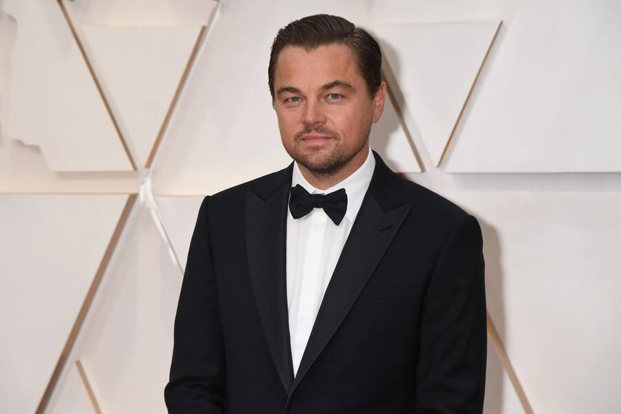 <p>Sammler: Stars wie Leonardo DiCaprio haben eine Leidenschaft für das Sammeln von Fossilien.</p>