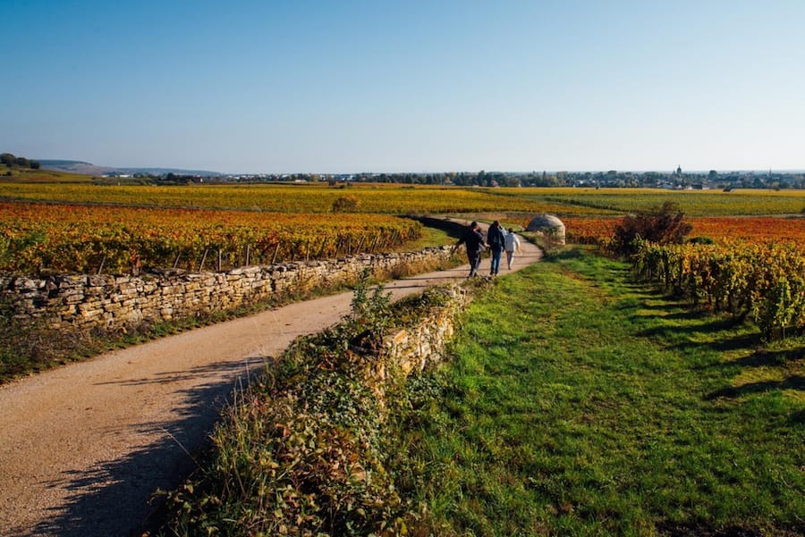 <p>Ob die Spaziergänger wissen, wie teuer die Rebparzellen beidseits des Weges sind?</p>