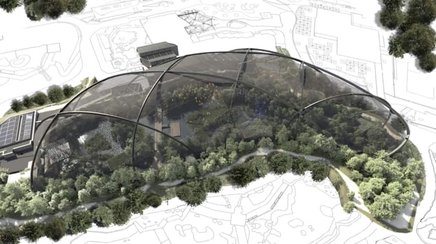 <p>Hohe Anforderungen: Die Voliere soll ganz ohne Stützpfeiler auskommen. Die Stahlbögen müssen das Gewicht des 1400 Tonnen schweren Gitternetzes allein tragen.</p>