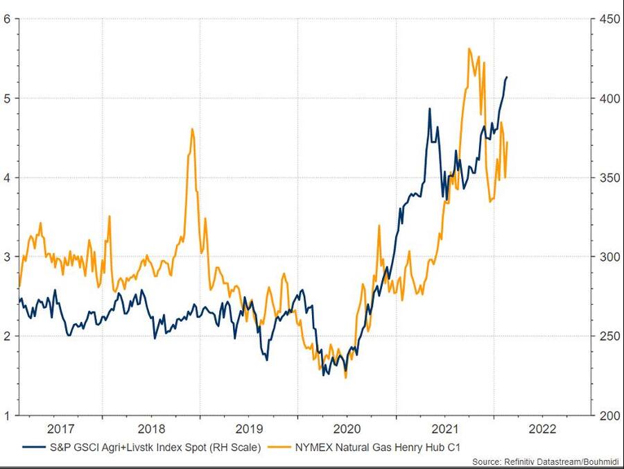 Entwicklung Agrarrohstoffe und Erdgas in den vergangenen 5 Jahren