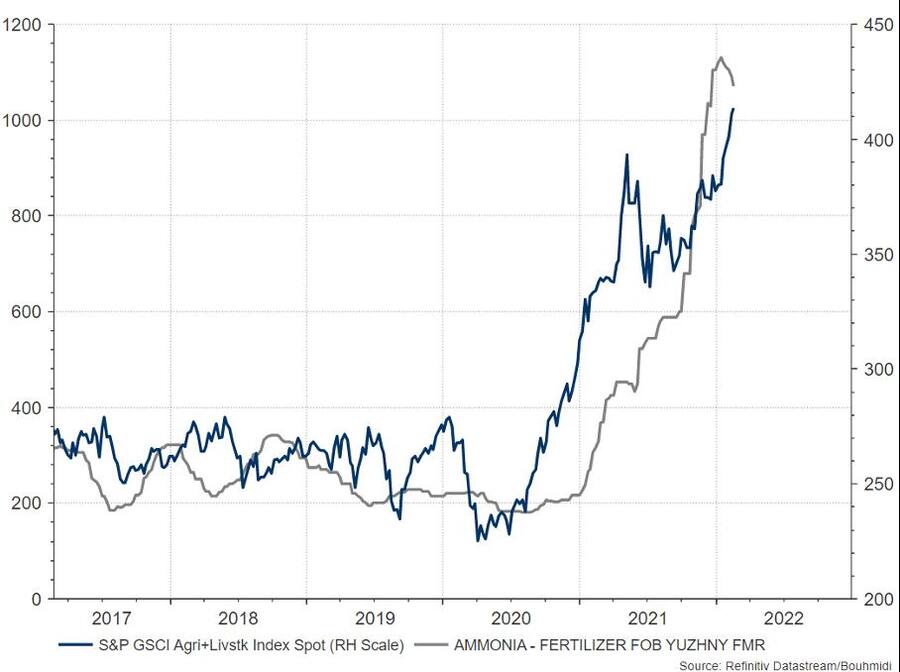 Entwicklung Ammoniak und Erdgas in den vergangenen 5 Jahren