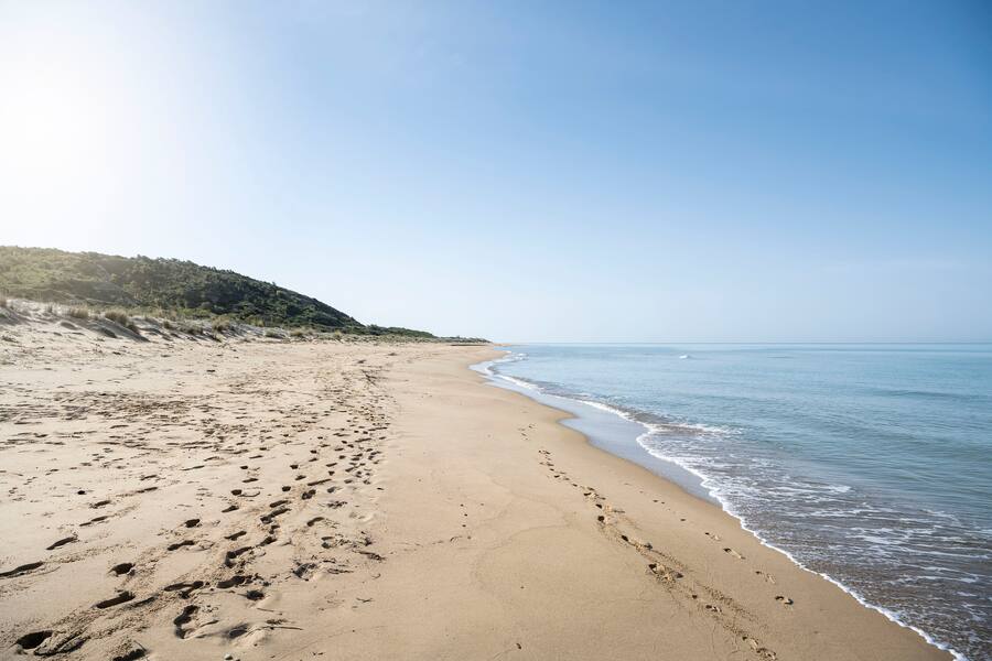 ©AlexFilz . Adler Sicily
