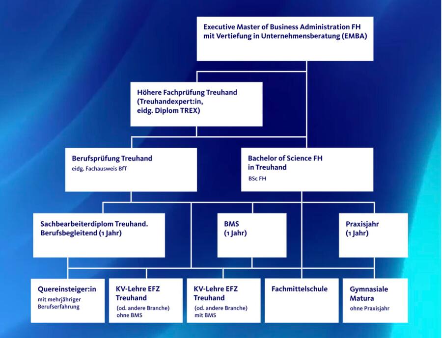 Der Schweizerische Treuhänderverband TREUHAND|SUISSE stellt auf der Webseite www.traumberuf-treuhand.ch die verschiedenen Karrierewege und Ausbildungsinstitute übersichtlich dar.