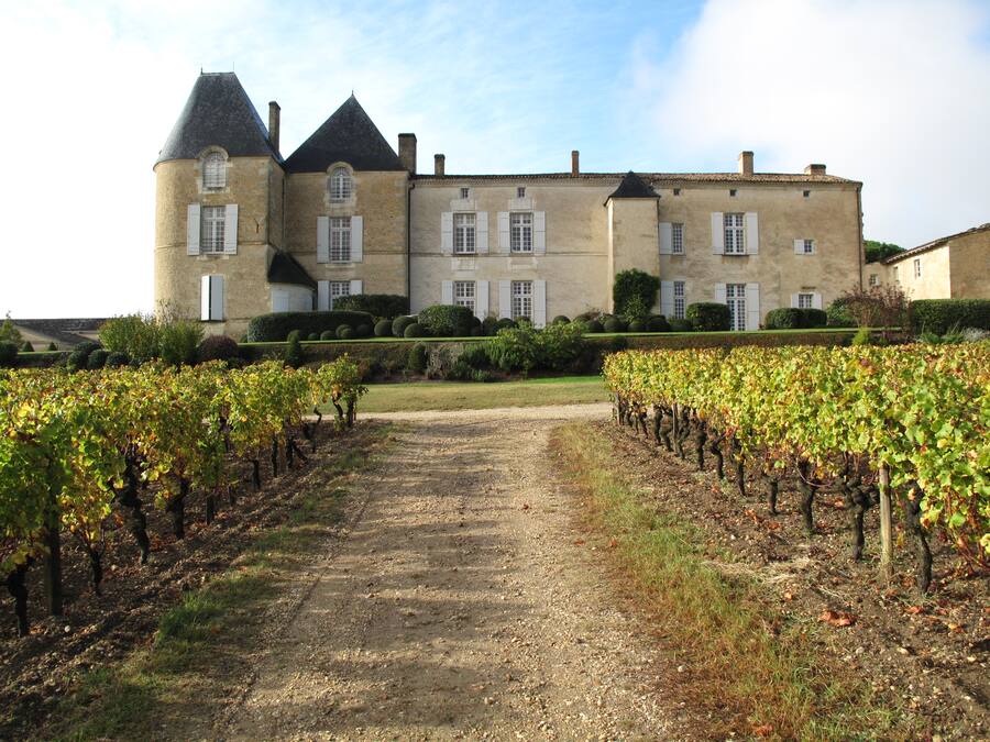 Château d’Yquem ist eine Ikone der Süssweine und Inbegriff von Eleganz.