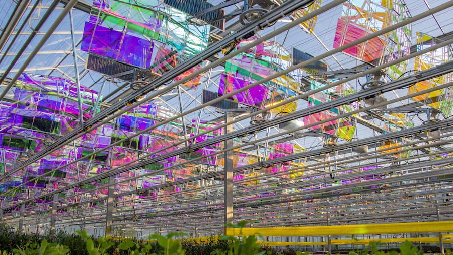 Voltiris Solaranlage Gewächshaus