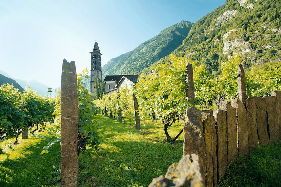 Wein Podcast Alain Kunz 03