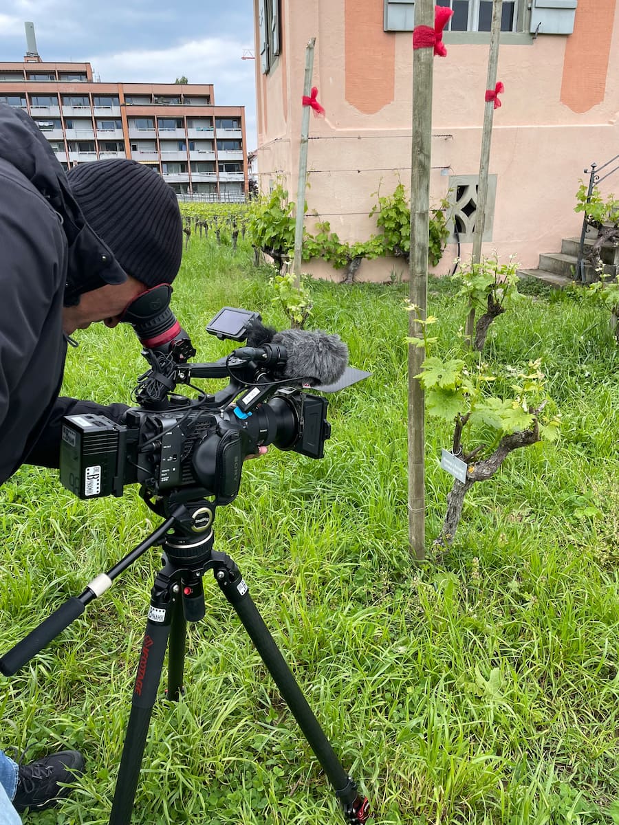 Filmdreh beim Weinbauzentrum Wädenswil mit Nachkömmlingen der ersten Müller-Thurgau-Rebe im Fokus.