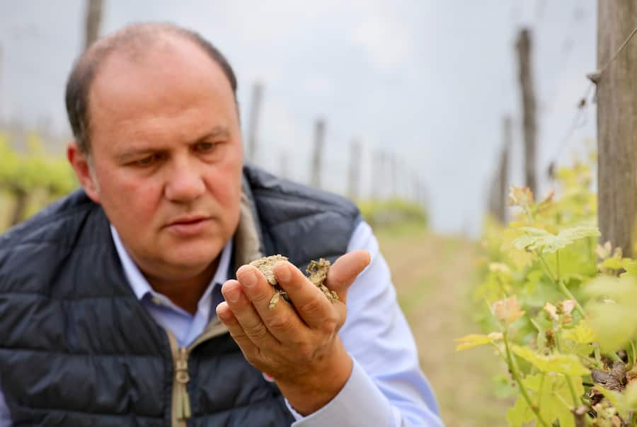 Mövenpick Wein Piemont