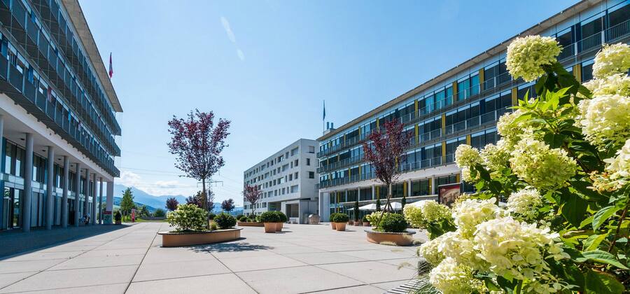 Square One Root Luzern