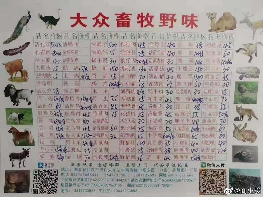 Wuhan Wildtiere Coronavirus